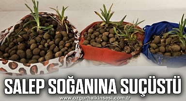  3.680 gram Salep Soğanı ele geçirildi