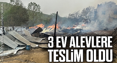 3 ev alevlere teslim oldu