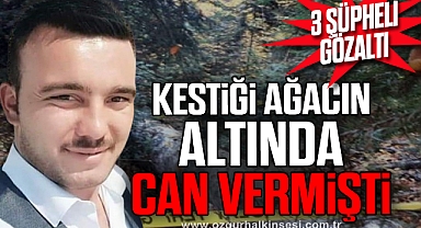 Bir kişinin kestiği ağacın altında kalarak ölmesiyle ilgili 3 gözaltı