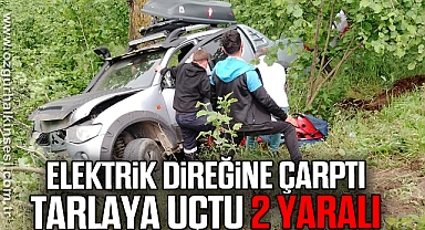 Elektrik direğine çarpan pikap tarlaya uçtu: 2 yaralı