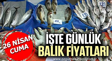 GÜNLÜK BALIK FİYATLARI