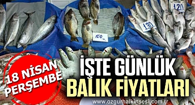 GÜNLÜK BALIK FİYATLARI
