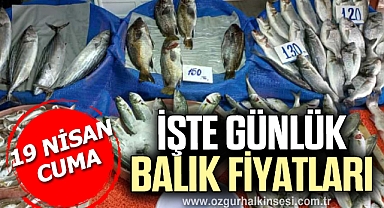 GÜNLÜK BALIK FİYATLARI