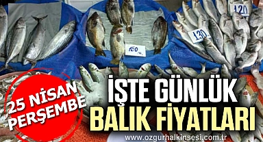 GÜNLÜK BALIK FİYATLARI