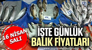 GÜNLÜK BALIK FİYATLARI