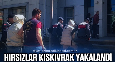 Hırsızlar Kıskıvrak Yakalandı