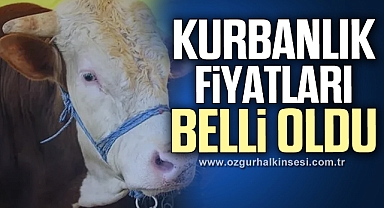 İşte 2024 yılı kurban hisse fiyatları