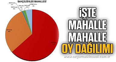 İşte mahalle mahalle oy dağılımı