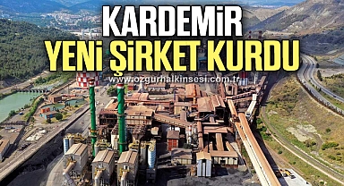 KARDEMİR 200 milyon TL sermayeli yeni şirket kurdu