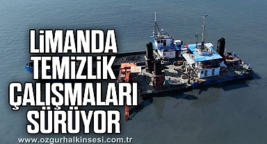 Limanda temizlik çalışmaları sürüyor