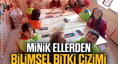Minik eller büyük hayaller ile bilimsel bitki çizimi yaptı