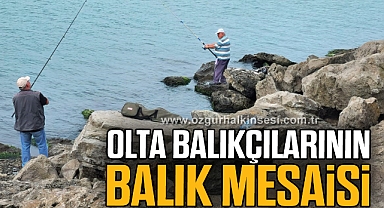 Olta balıkçılarının balık mesaisi