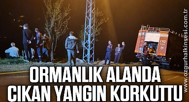 Ormanlık alanda çıkan yangın korkuttu