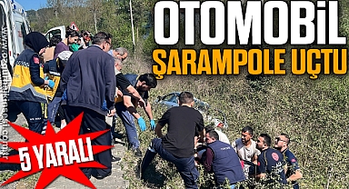 Otomobil şarampole uçtu: 5 yaralı
