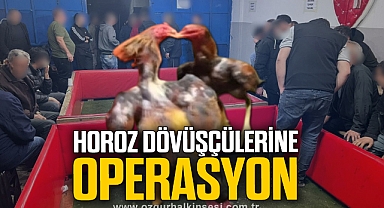 Perşembe'de Horoz Dövüşüne Şok Baskın!