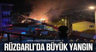Rüzgarlımeşe'de büyük yangın