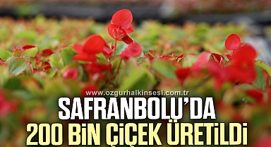 Safranbolu’da 200 bin çiçek üretildi