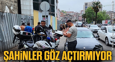 Şahinler göz açtırmıyor