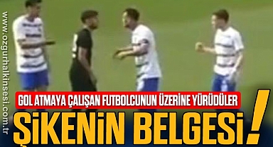 ŞİKENİN BELGESİ!