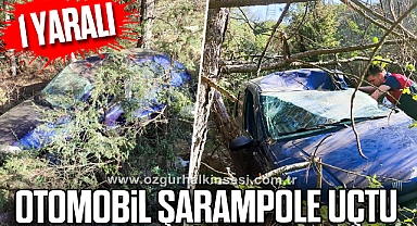 Otomobil şarampole uçtu: 1 yaralı