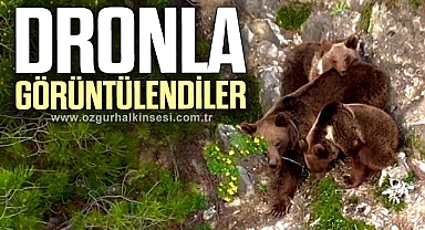 Yaban hayvanları dronla görüntülendi