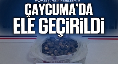 3.088 gram Salep Soğanı ele geçirildi