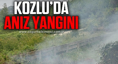 Anız yangını korkuttu