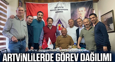 Artvinlilerde görev dağılımı