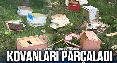 Ayılar 20 arı kovanını parçaladı