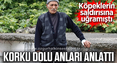 Başıboş köpeklerin saldırısına uğrayan 80 yaşındaki depremzede korku dolu anları anlattı