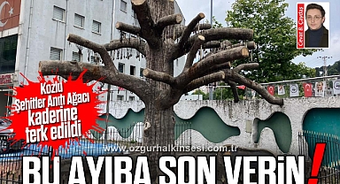 Bu ayıba son verin!