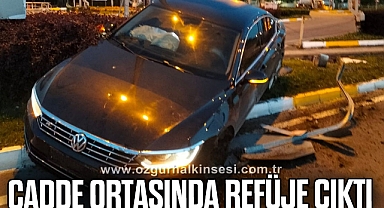 Cadde ortasında refüje çıktı
