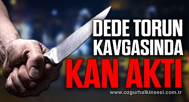 Dede torun kavgasında kan aktı: 1 yaralı