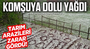 Dolu sonrası köy beyaz örtüyle kaplandı