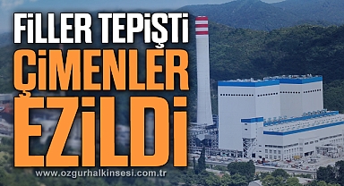 FİLLER TEPİŞTİ ÇİMENLER EZİLDİ