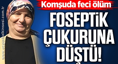 Foseptik çukuruna düştü