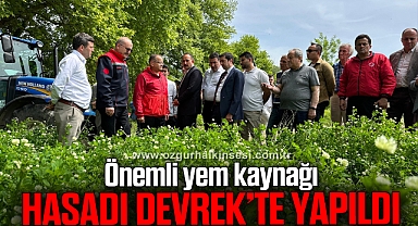 Gelemen Üçgülü Hasat Programı Yapıldı
