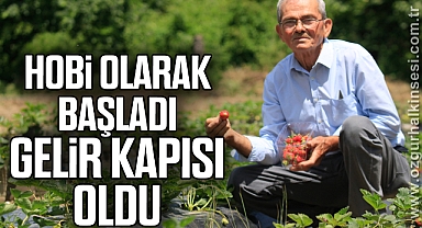 Hobi olarak başladı gelir kapısı oldu