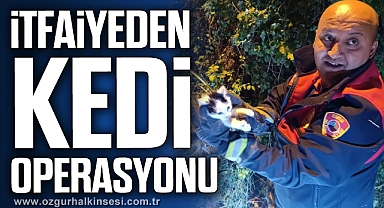 İTFAİYEDEN KEDİ OPERASYONU