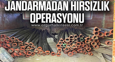 Jandarmadan hırsızlık operasyonu