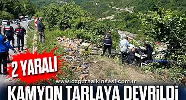 Kamyon tarlaya devrildi: 2 yaralı
