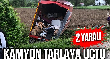 Kamyon tarlaya uçtu: 2 yaralı
