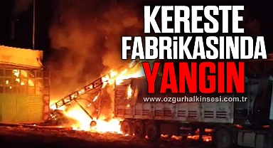 Kereste fabrikasında korkutan yangın