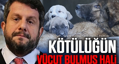 “KÖTÜLÜĞÜN VÜCUT BULMUŞ HALİ”