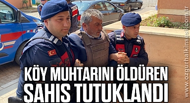 Köy muhtarını öldüren şahıs tutuklandı