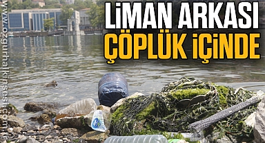 LİMAN ARKASI ÇÖPLÜK İÇİNDE