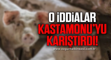 'Lisanslı domuz çiftlikleri' iddiasına yanıt