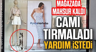 Mağazada mahsur kaldı camı tırmalayarak yardım istedi