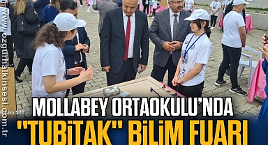 Mollabey Ortaokulunda