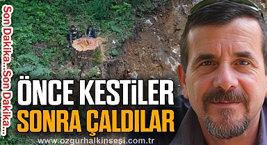 ÖNCE KESTİLER SONRA ÇALDILAR